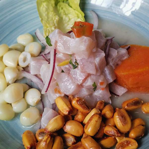 Ceviche de Corvina